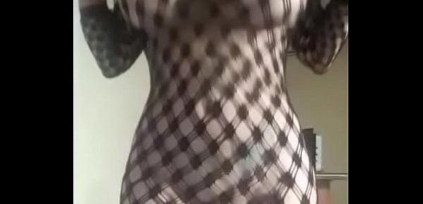  Chichona mexicana